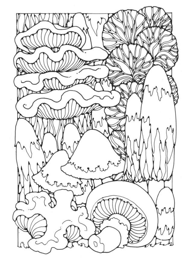 627x880 266 Best Mushrooms Images On Fungi, Mushrooms