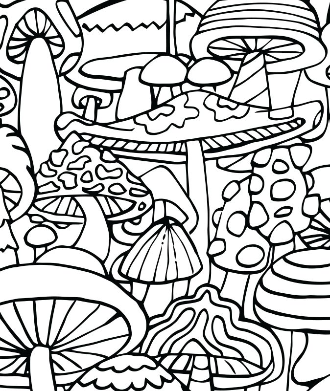 674x800 89 Best Mushrooms Coloring Images On Coloring Pages