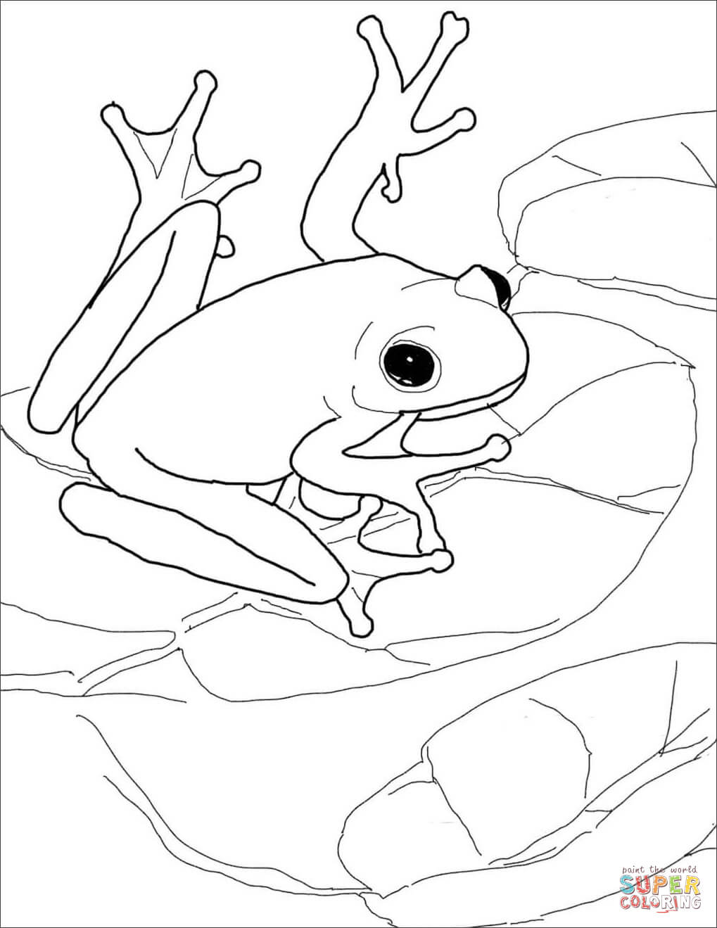 1019x1319 Frogs Coloring Pages Free Coloring Pages Tree Frog Coloring Page