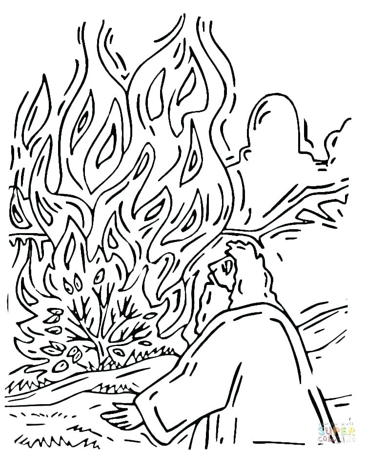 750x929 Bush Plant Drawing Burning Bush Coloring Page Coloring Pages