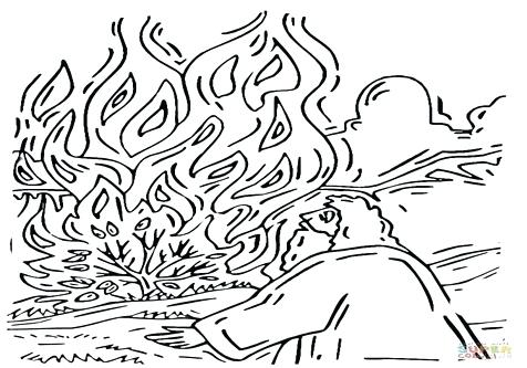 476x333 Bush Plant Drawing Coloring Trend Medium Size The Real Burning