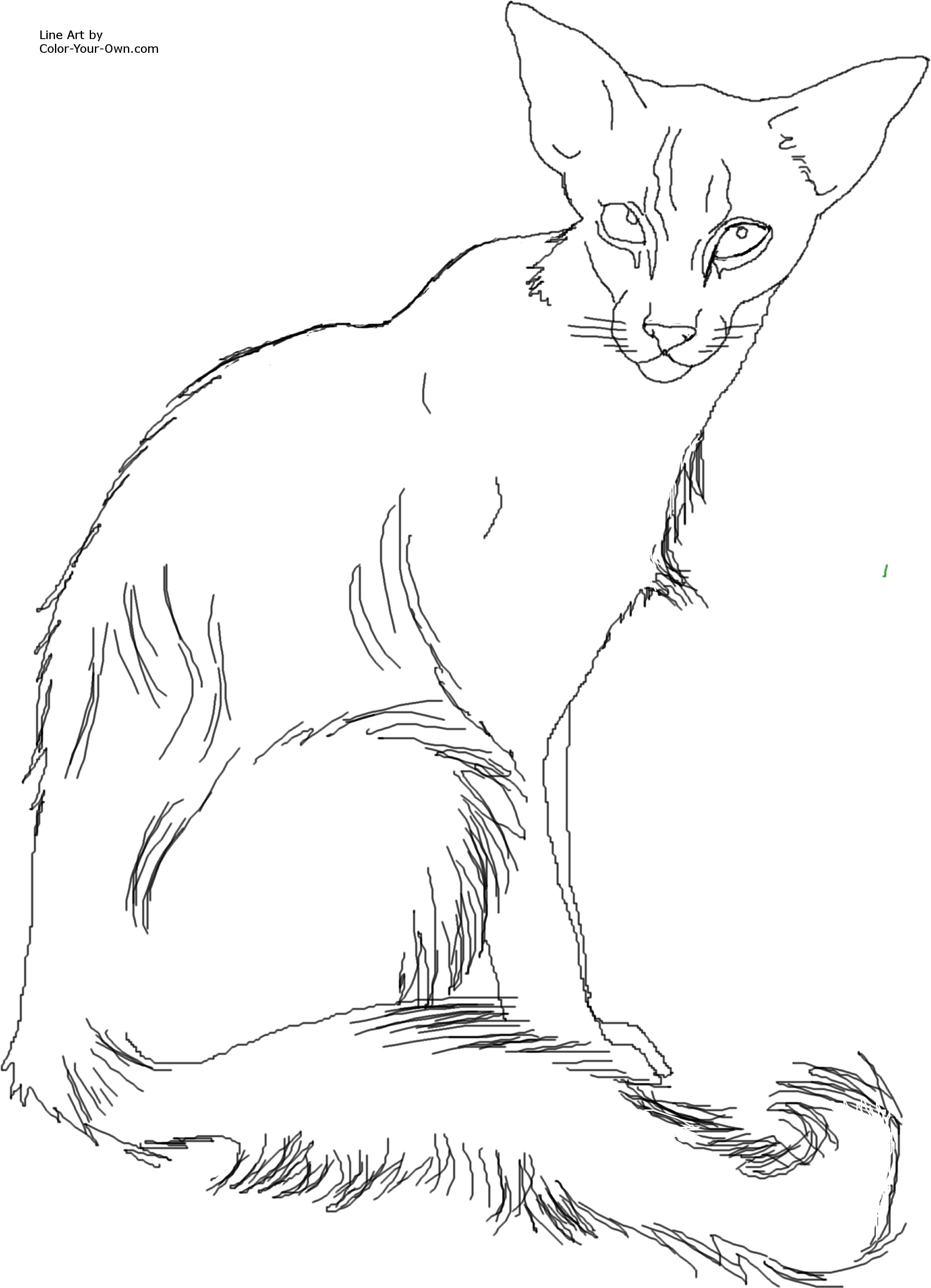 2168x3000 Free Printable Siamese Cat Coloring Page Pictures To Pin