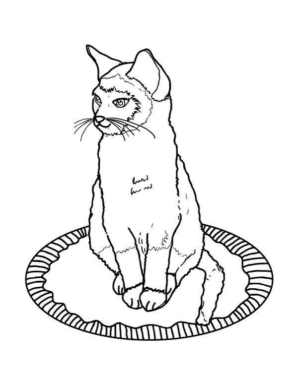 600x776 Printable Siamese Cat Coloring Page. Download It From Https
