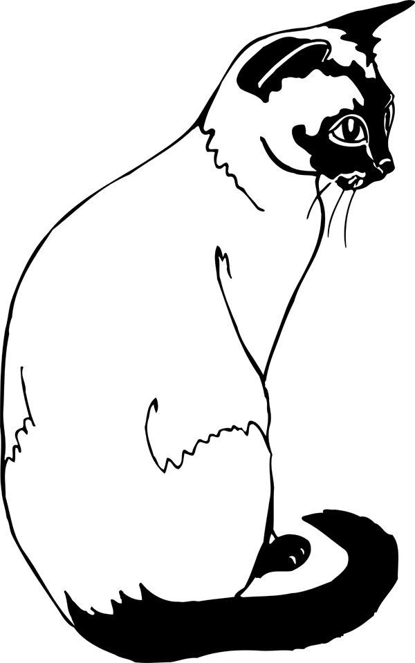 600x959 Siamese Coloring Pages Siamese Animal Coloring Pages Vitlt