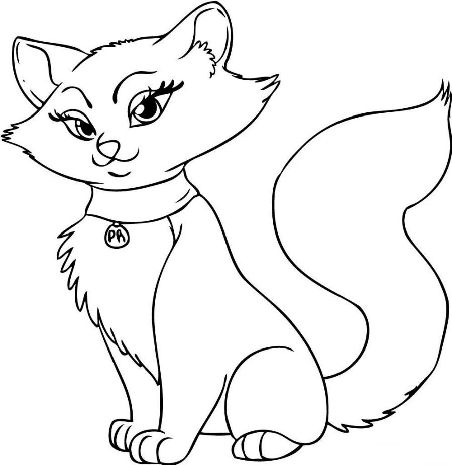 900x926 Astonishing Cat Coloring Page Color Printable Cute Kid Of Siamese