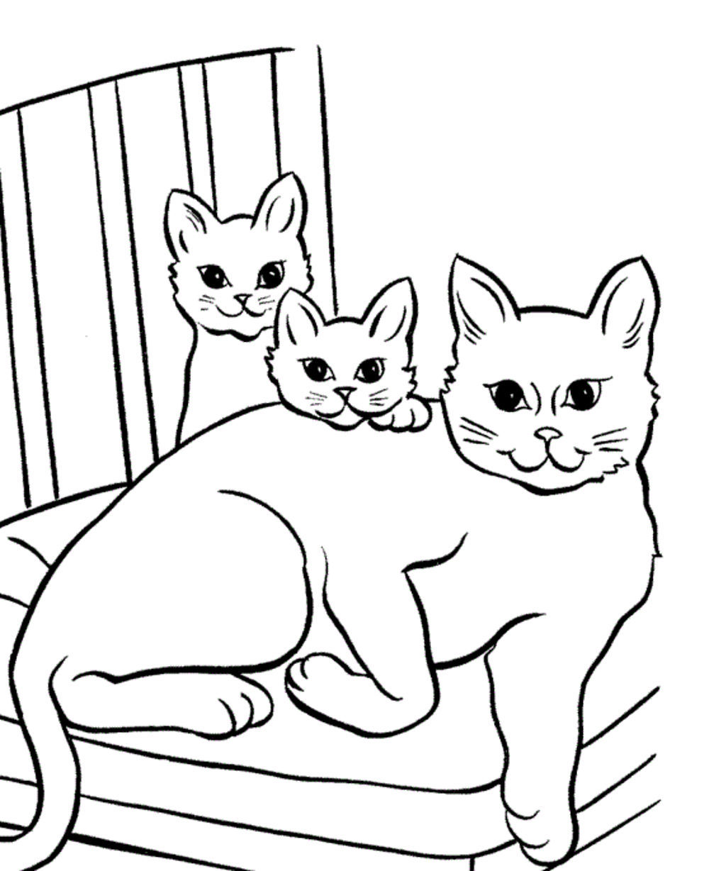 1000x1228 Startling Printable Pictures Of Cats Cat Color Pages Coloring