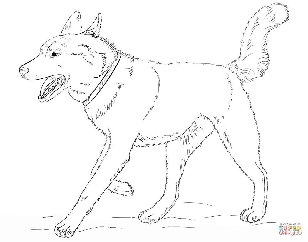 1048x824 Running Siberian Husky Coloring Page For Husky Coloring Pages