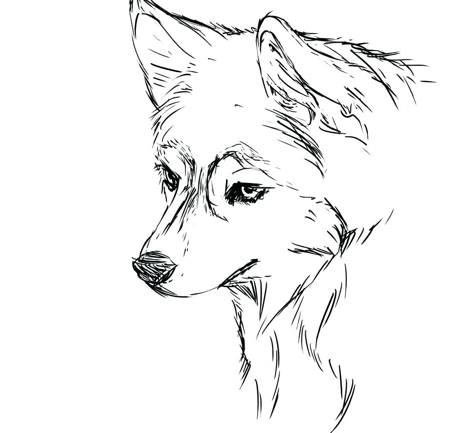 900x864 Husky Coloring Pages