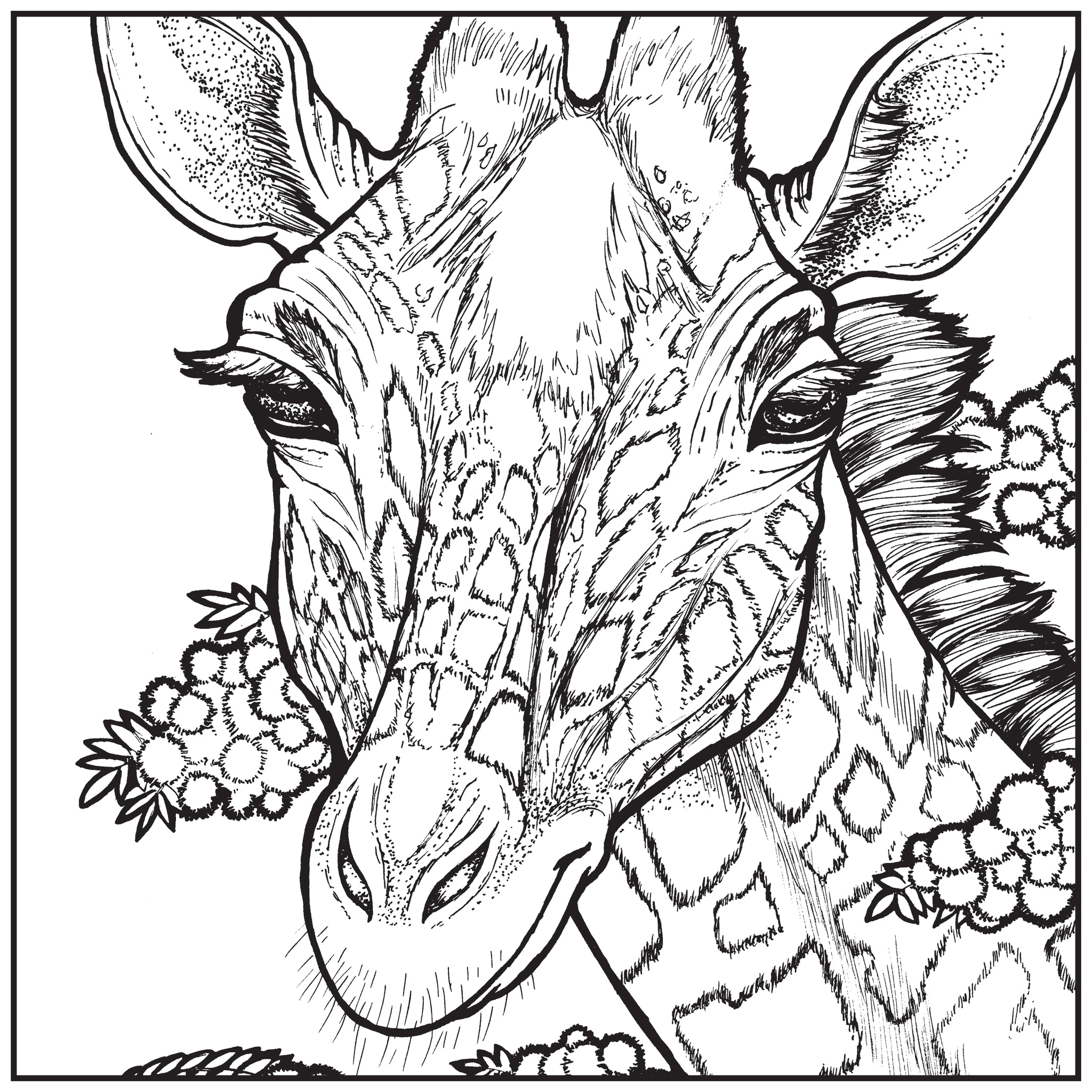 2048x2048 Lovely Siberian Tiger Coloring Page Free Coloring Pages For Children