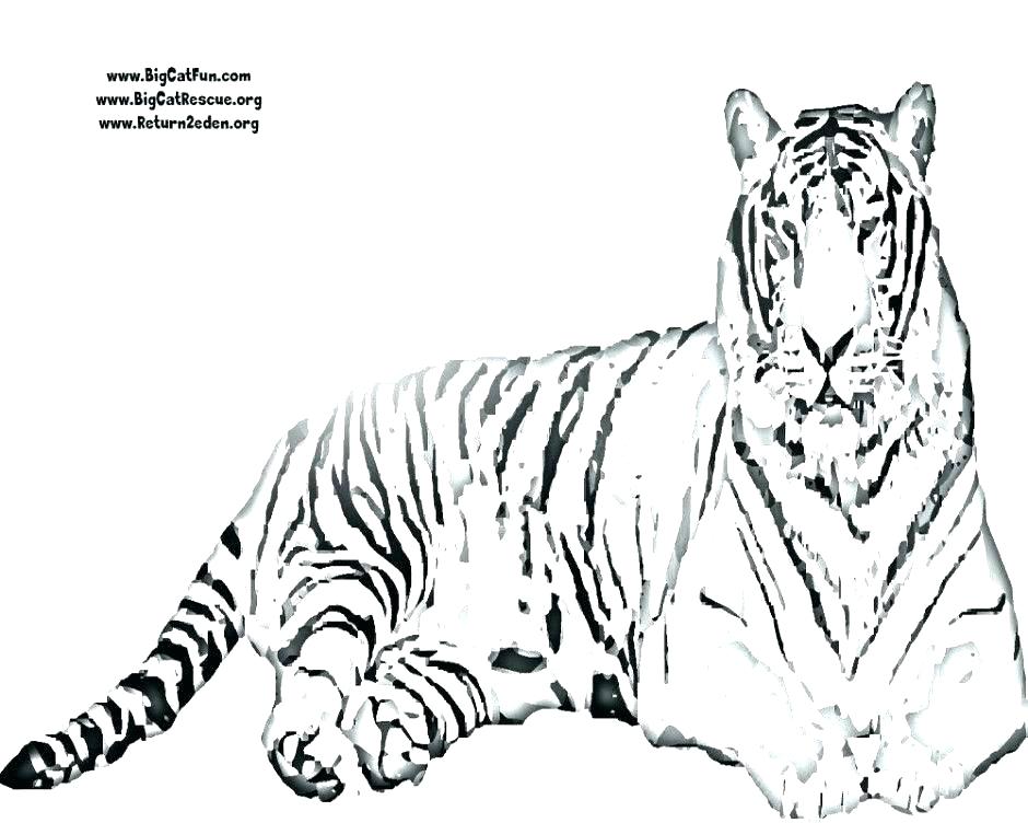 940x752 Siberian Tiger Coloring Page Tiger Coloring Page Tiger Printable