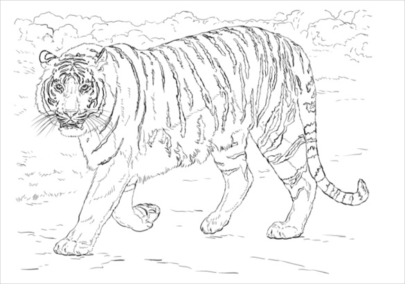 585x410 Animal Coloring Pages Free Psd, Ai, Vector Eps Format