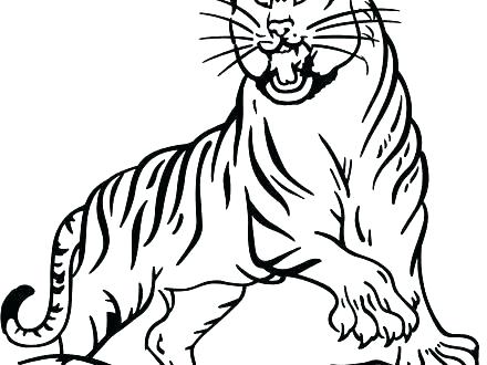 440x330 Coloring Pages Of A Tiger Tiger Coloring Sheets Printable Tiger