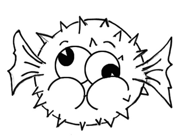 600x444 Puffer Fish With Silly Face Coloring Pages