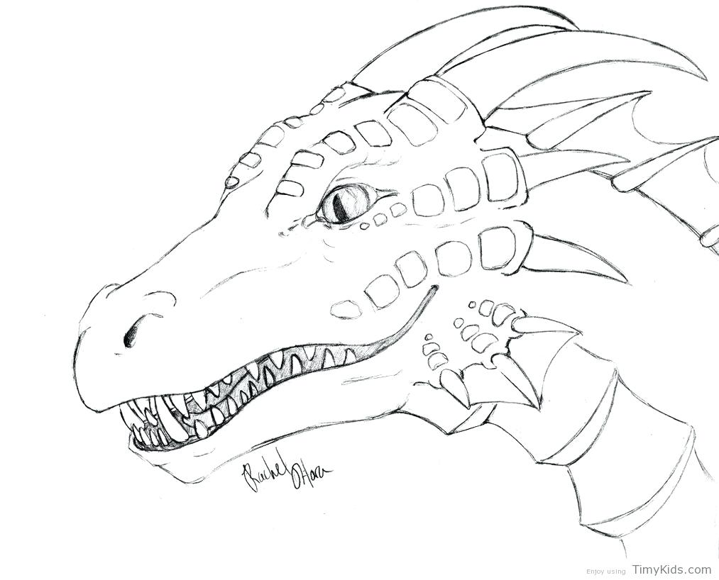 1013x818 Coloring Pages For Adults Quotes Dragon Adventure A Book Chinese