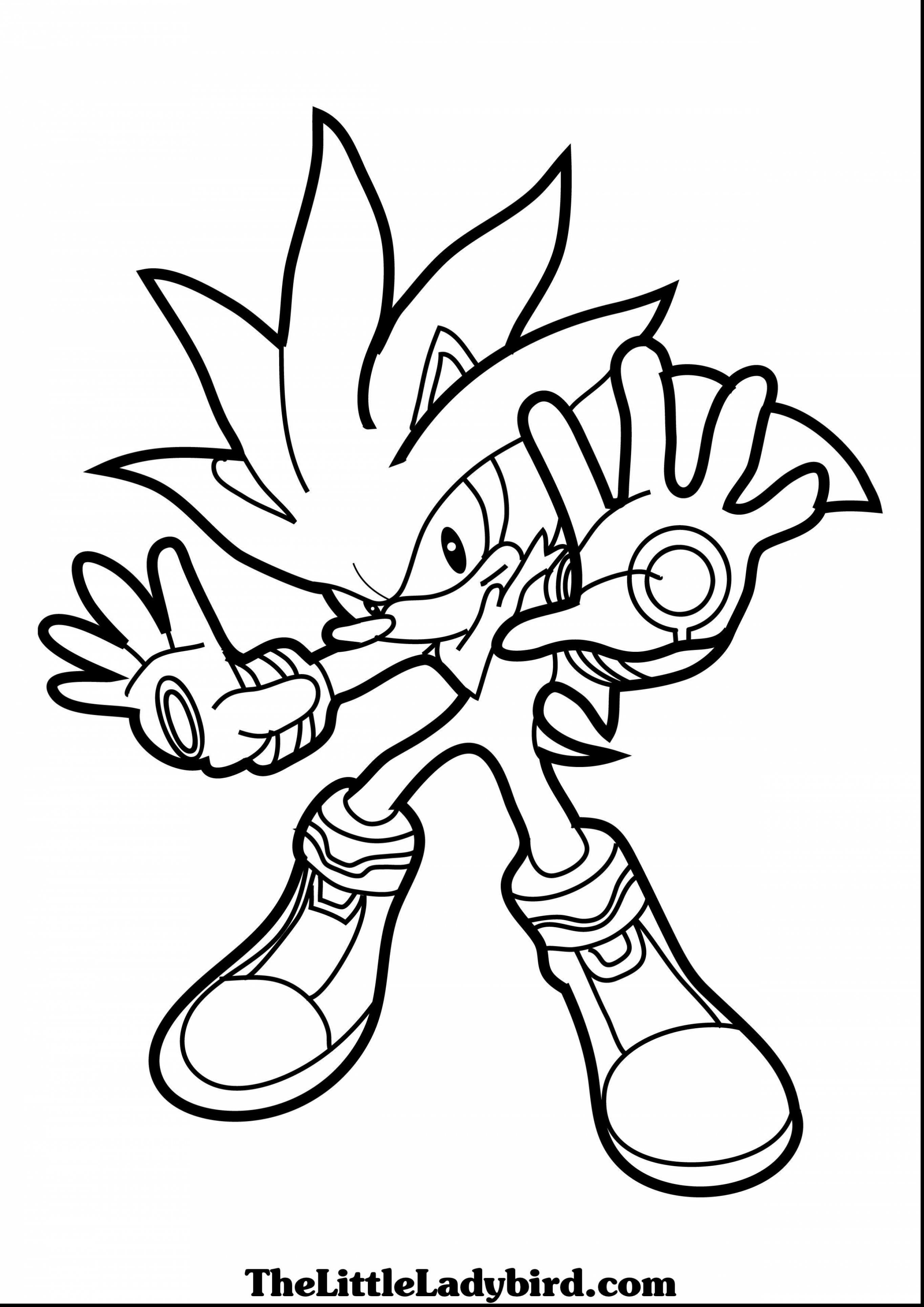 2728x3858 Unlimited Silver The Hedgehog Coloring Pages S