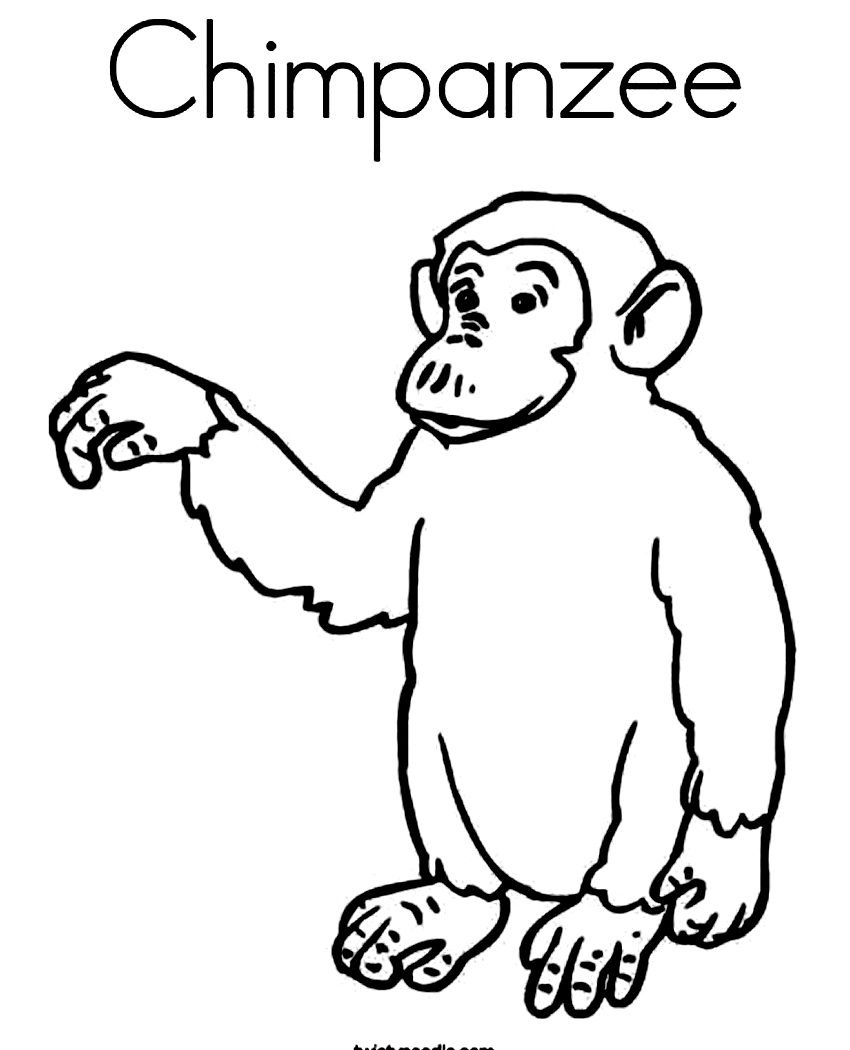 850x1050 Emejing Silverback Gorilla Coloring Pages Animal Prints Cowgirl