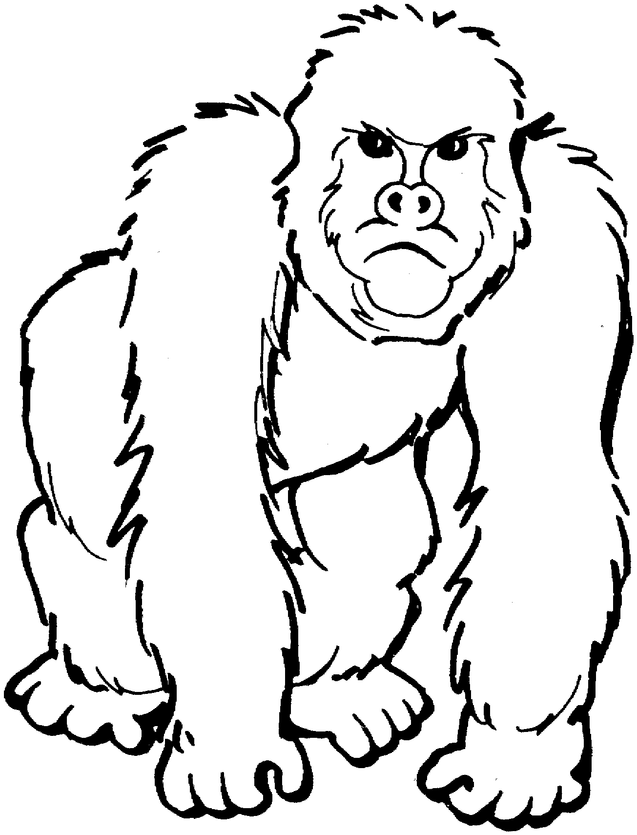 1305x1710 Gorilla Coloring Pages Awesome Free Gorilla Coloring Pages Logo