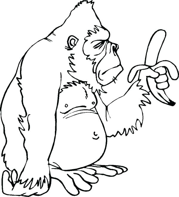 600x659 Gorilla Coloring Page