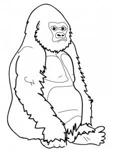 225x300 27 Best Gorilla Coloring Pages Images On Kindergarten