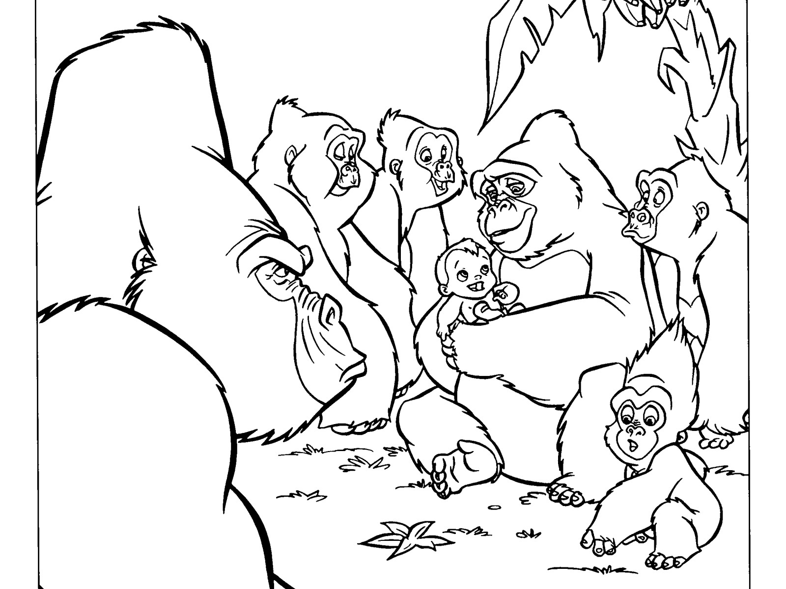 1600x1200 75055 Silverback Gorilla At 5