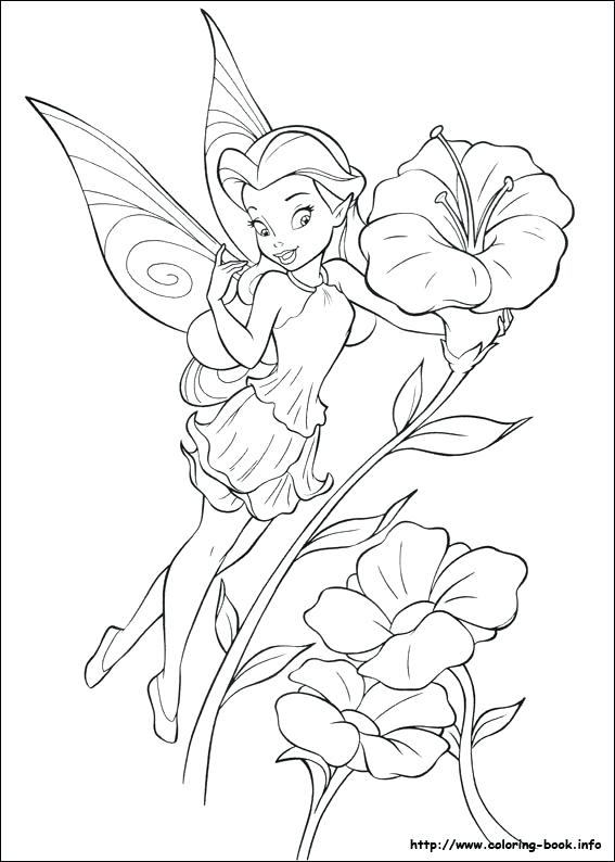 567x794 Coloring Picture Free Coloring Silvermist Coloring Pages To Print