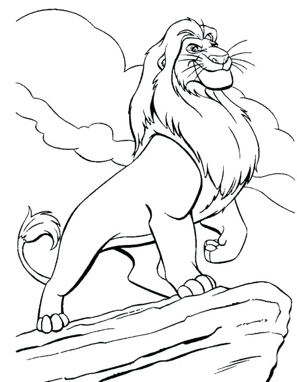 600x770 Simba Coloring Page Coloring Page Protecting S Pride Coloring