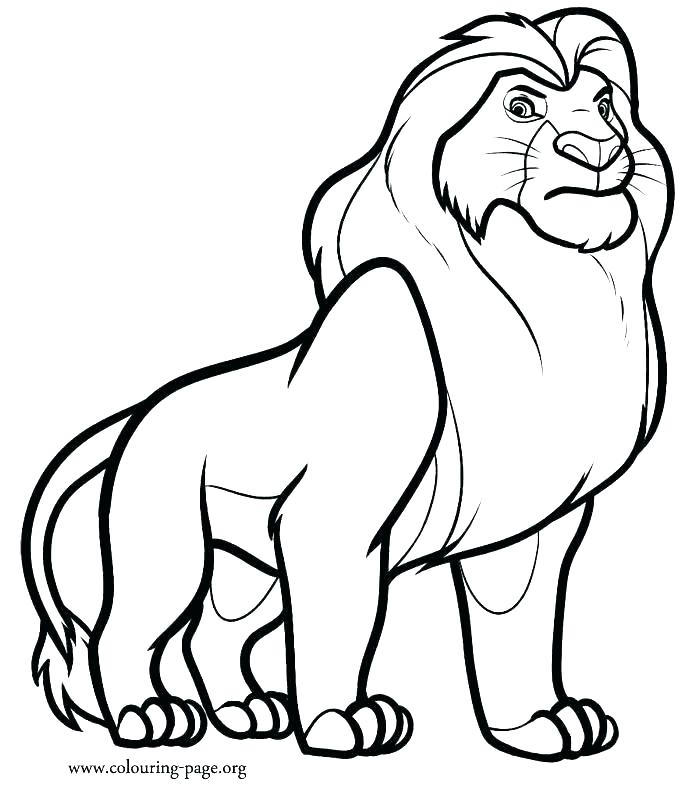 700x791 Simba Coloring Page