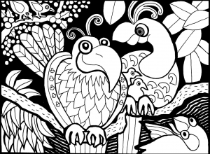 300x220 Birds