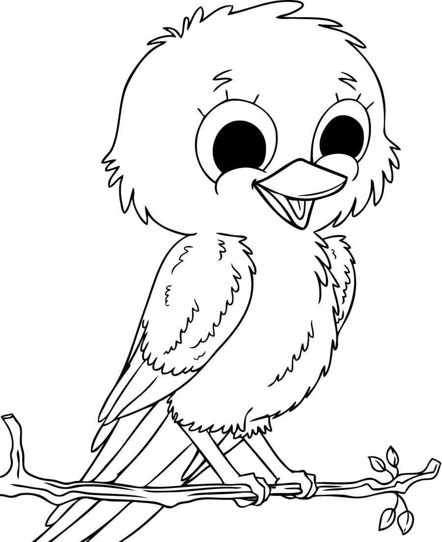 900x1102 Simple Bakb At Bird Coloring Pages On With Hd Resolution 1802x1471