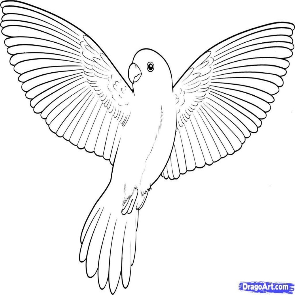 1024x1024 Simple Pencil Drawings Of Flying Birds Coloring Pages 1239 Inside