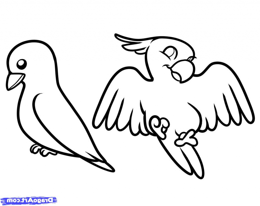 1024x815 Value Pictures Of Birds For Drawing Bird Color