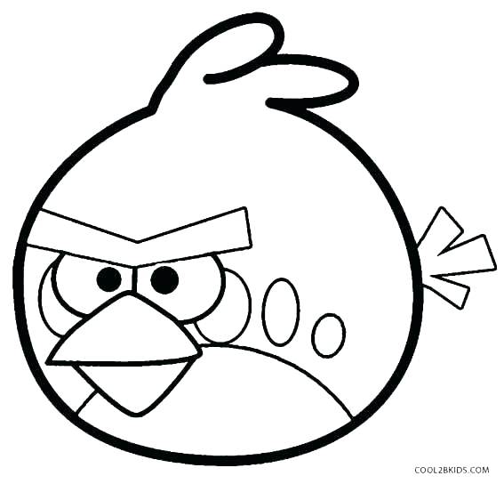 567x544 Bird Color Page Cute Bird Coloring Pages Cardinal Coloring Pages