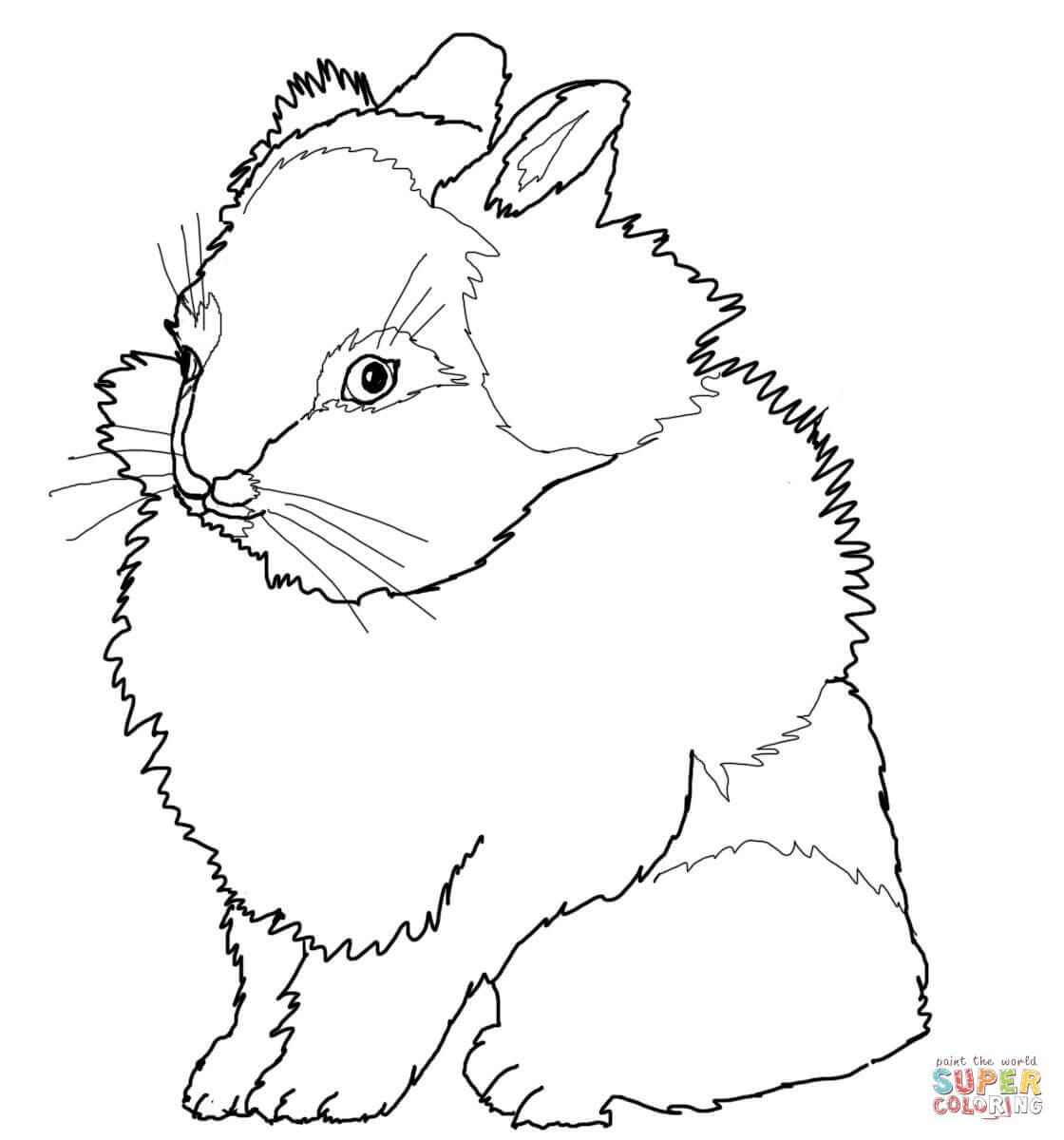 1120x1200 Simple Realistic Bunny Coloring Pages Rabbits