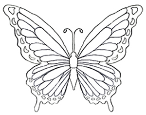 300x236 Remarkable Coloring Pictures Of Butterflies Colouring For Amusing
