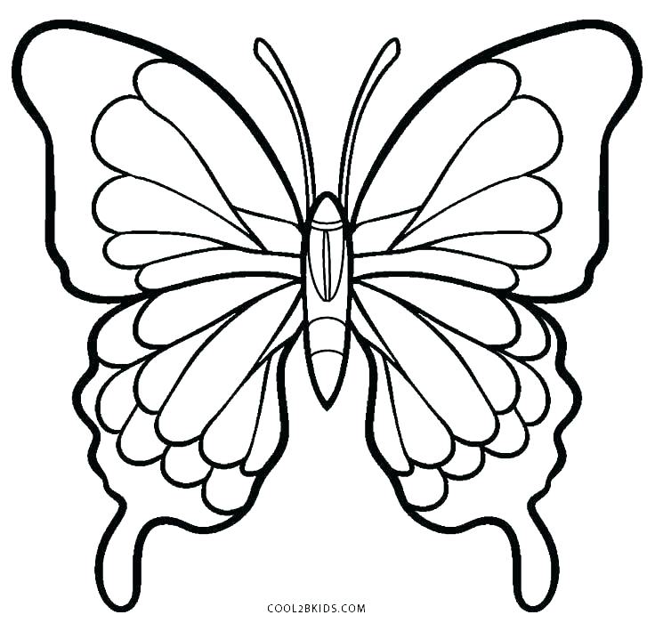 736x700 Simple Butterfly Coloring Pages Color Page Butterfly Simple