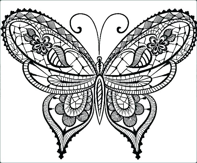 678x562 Butterfly Coloring Page Free Butterfly Coloring Page Butterfly