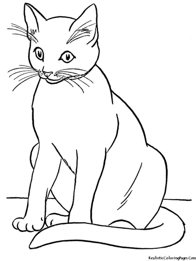 768x1024 Awesome Simple Cat Coloring Pages Pic For Adults Ideas And Trends