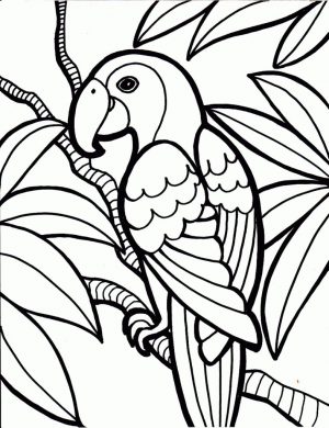 300x390 Simple Coloring Pages