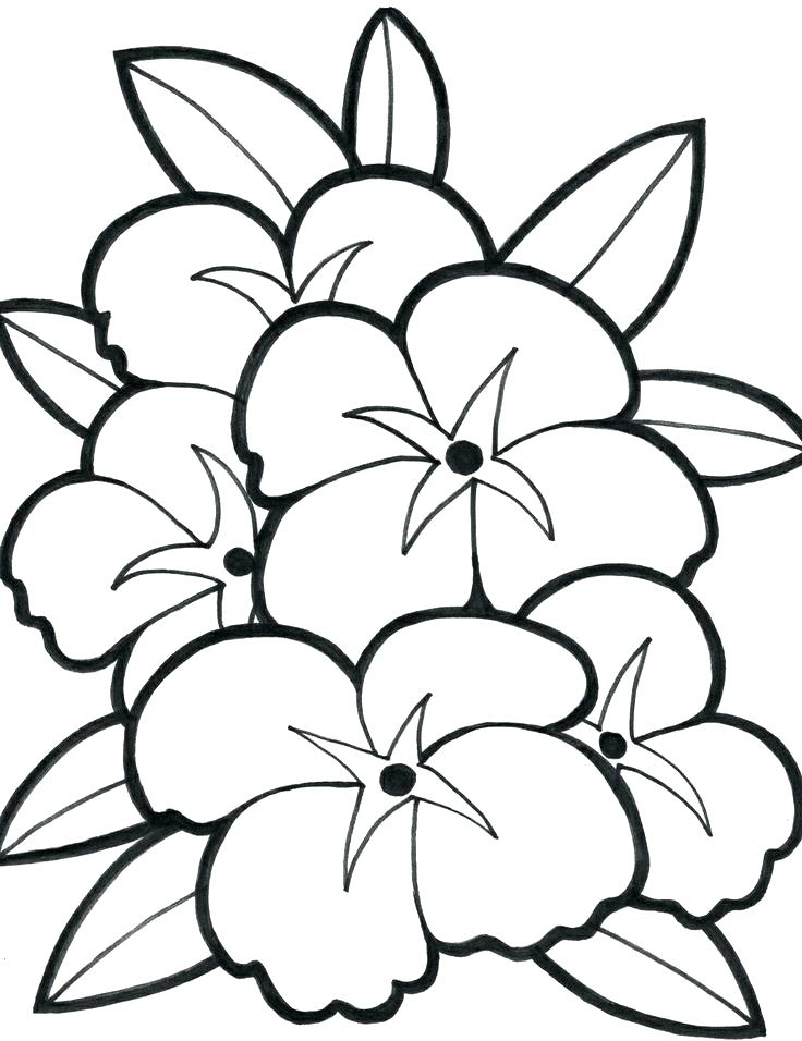 736x956 Flower Garden Coloring Pictures Easy Flower Coloring Pages Kids