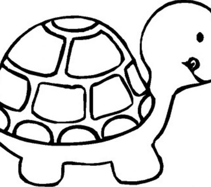 678x600 Simple Coloring Pages For 2 Year Olds Popular Trend Coloring