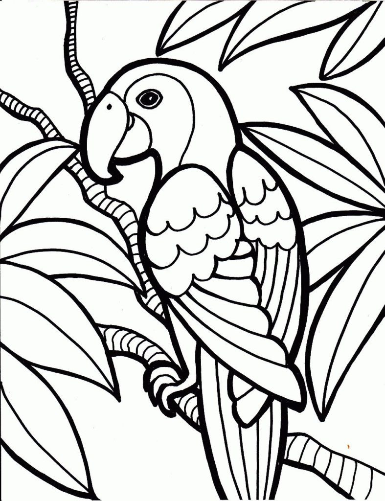 787x1024 Simple Coloring Pages Printable 24255