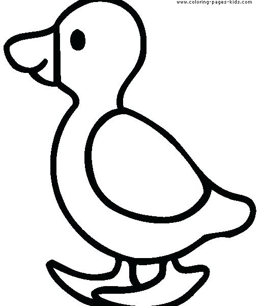 519x600 Colouring Pages Of Simple Flowers Easy To Draw Coloring Pages