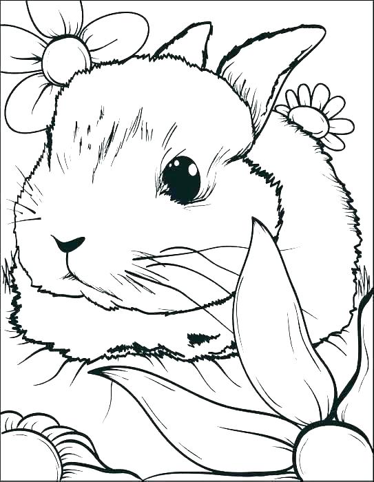 543x700 Easter Bunny Coloring Pages Free Printable Bunnies Coloring Pages