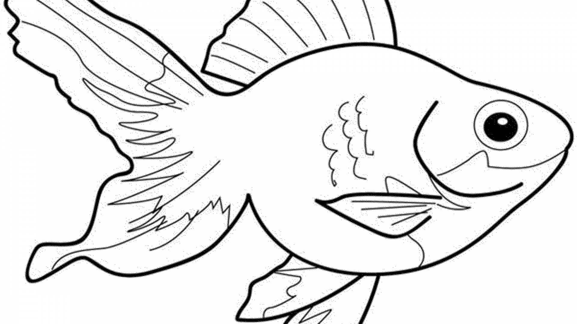 1920x1080 Remarkable Football Fish Coloring Page Popular Color Top Ideas