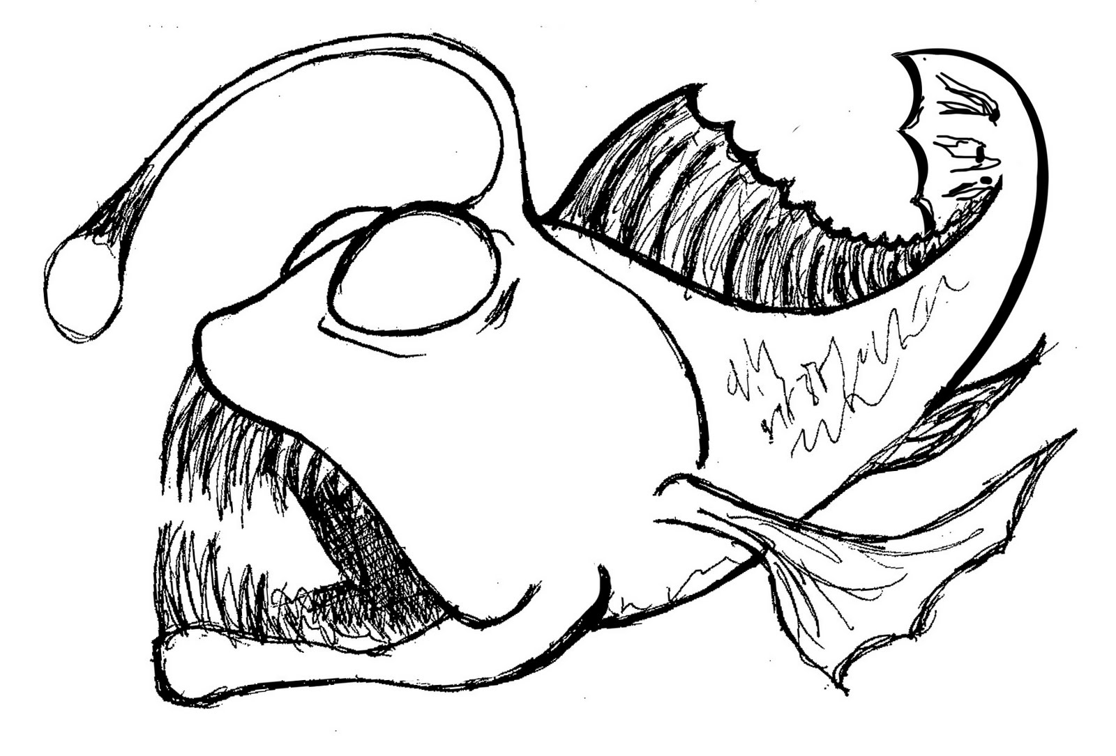 1600x1085 Simple Fish Colouring Template Rainbow Coloring Page Free