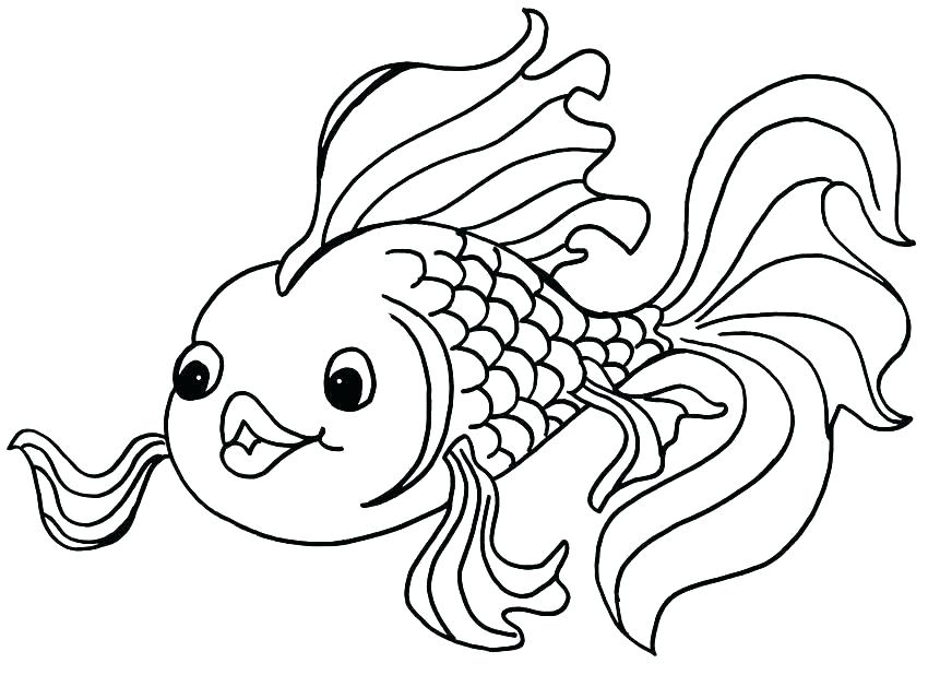 850x618 Small Gold Fish Coloring Pages Drawing Goldfish And Various