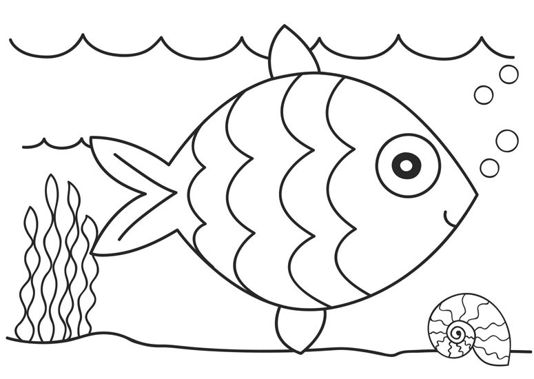 775x550 Printable 25 Simple Fish Coloring Pages 5076 Golden Fish Simple