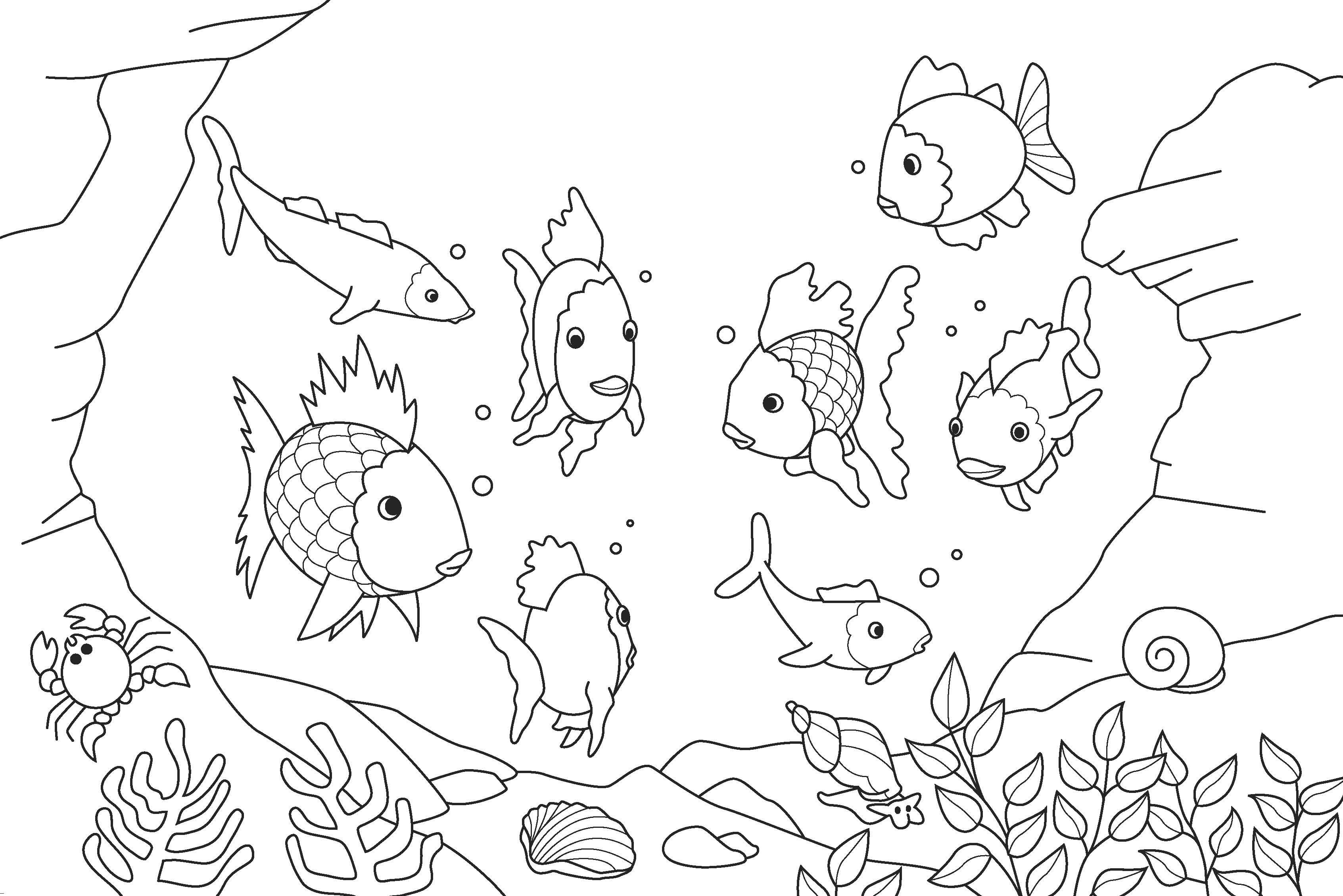 3386x2260 Easy Coloring Pages Of Fish Fresh Rainbow Fish Coloring Page