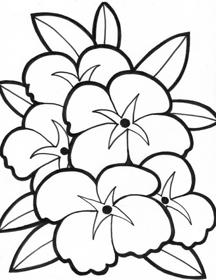 736x956 Flower Coloring Page Luxury Simple Flower Coloring Pages Coloring