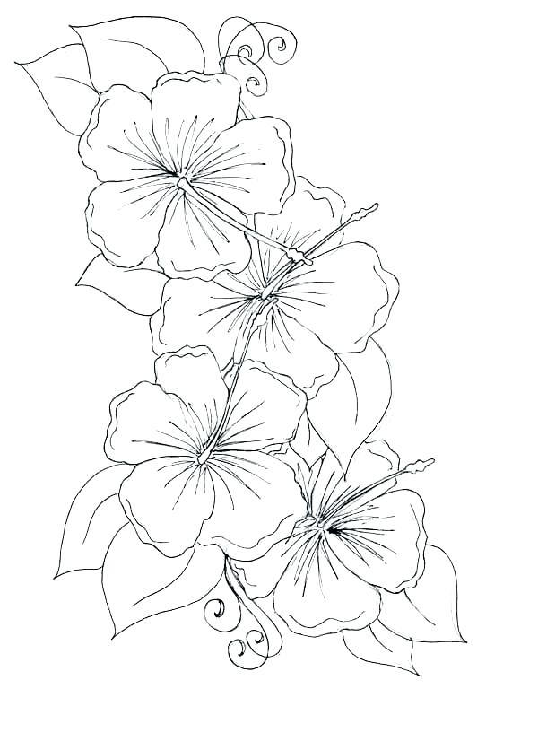 600x826 Simple Flower Coloring Pages Coloring Pages For Kids Flowers